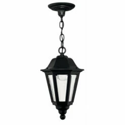 Best reviews of 🌟 Hinkley Lighting Hinkley Manor House 1-Light Outdoor Pendant In Black ✨