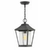 Hot Sale 😀 Hinkley Lighting Hinkley Palmer 1-Light Outdoor Pendant In Museum Black 🎉