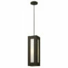 Hot Sale 🛒 Hinkley Lighting Hinkley Dorian 1-Light Outdoor Pendant In Bronze 🤩