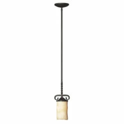 Budget 🔔 Hinkley Lighting Hinkley Casa 1-Light Mini Pendant In Olde Black 😍