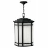 Best Sale ✨ Hinkley Lighting Hinkley Cherry Creek 1-Light Outdoor Pendant In Vintage Black ⌛
