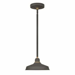 Deals ✔️ Hinkley Lighting Hinkley Foundry 1-Light Outdoor Pendant In Museum Bronze 🥰