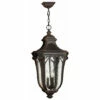 Promo 🧨 Hinkley Lighting Hinkley Trafalgar 3-Light Outdoor Pendant In Mocha 🔥
