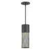 Promo 🌟 Hinkley Lighting Hinkley Aria 1-Light Outdoor Pendant In Black 🤩