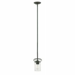 Best Pirce 🤩 Hinkley Lighting Hinkley Casa 1-Light Pendant In Olde Black With Clear Seedy 🧨