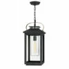 Promo ✨ Hinkley Lighting Hinkley Atwater 1-Light Outdoor Pendant In Black 🌟