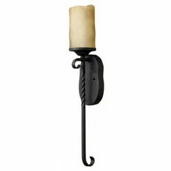 Best reviews of ⭐ Hinkley Lighting Hinkley Casa 1-Light Sconce In Olde Black ⭐