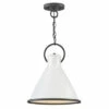 Best reviews of 🌟 Hinkley Lighting Hinkley Winnie 1-Light Pendant In Polished White - Large 🎁