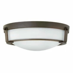 Flash Sale 🤩 Hinkley Lighting Hinkley Hathaway LED Flush Mount In Olde Bronze With Etched White 😉