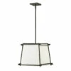 Budget 🔔 Hinkley Lighting Hinkley Tress 1-Light Pendant In Iron Ore 🔔