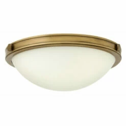 Coupon 👍 Hinkley Lighting Hinkley Maxwell 2-Light Flush Mount In Heritage Brass ❤️