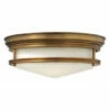 Best Pirce ✔️ Hinkley Lighting Hinkley Hadley 3-Light Flush Mount In Brushed Bronze 💯