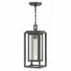Budget 👏 Hinkley Lighting Hinkley Republic 1-Light Outdoor Pendant In Oil Rubbed Bronze 😉