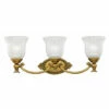 Cheapest ⭐ Hinkley Lighting Hinkley Francoise 3-Light Vanity Light In Burnished Brass 💯