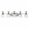 Outlet 🛒 Hinkley Lighting Hinkley Plantation 5-Light Vanity Light In Polished Antique Nickel ⭐