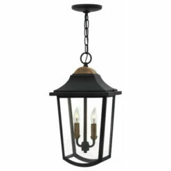 Buy 🔥 Hinkley Lighting Hinkley Burton 2-Light Outdoor Pendant In Black ❤️