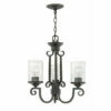 Best Sale 🔥 Hinkley Lighting Hinkley Casa 3-Light Chandelier In Olde Black With Clear Seedy 🥰