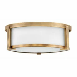 Budget 🥰 Hinkley Lighting Hinkley Lowell 2-Light Flush Mount In Brushed Bronze 😉