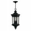Best Sale ✔️ Hinkley Lighting Hinkley Raley 4-Light Outdoor Pendant In Museum Black 😉