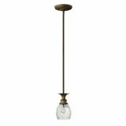 Buy 🔔 Hinkley Lighting Hinkley Plantation 1-Light Mini Pendant In Pearl Bronze 💯
