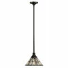 Coupon ⌛ Hinkley Lighting Hinkley Tahoe 1-Light Mini Pendant In Regency Bronze 🔥