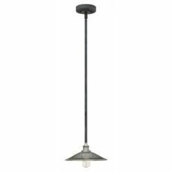 Coupon 🔔 Hinkley Lighting Hinkley Rigby 1-Light Pendant In Aged Zinc ❤️